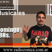 Logo AMIGOS DE LOS CAMINOS MUSICALES